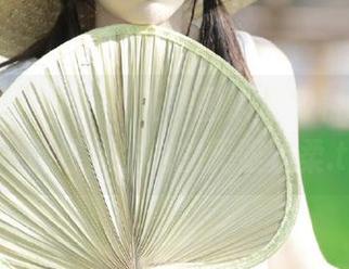 beautyleg – 最新美图来袭！和Lena护士一起感受生活的无限温柔.txt