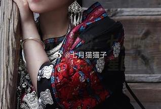 在无圣光的幻境中漫游：七月喵子的兽娘图集——月食本与星图.txt